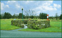 site services area